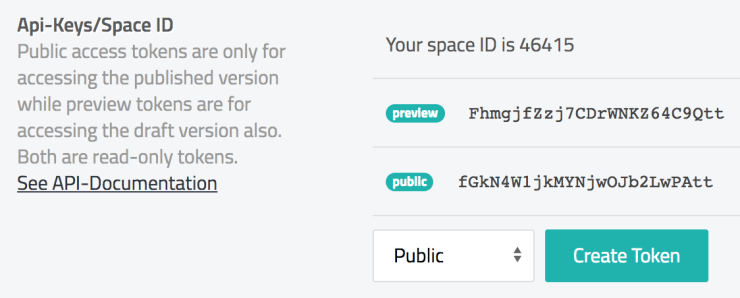 Screenshot of the Storyblok API key settings.